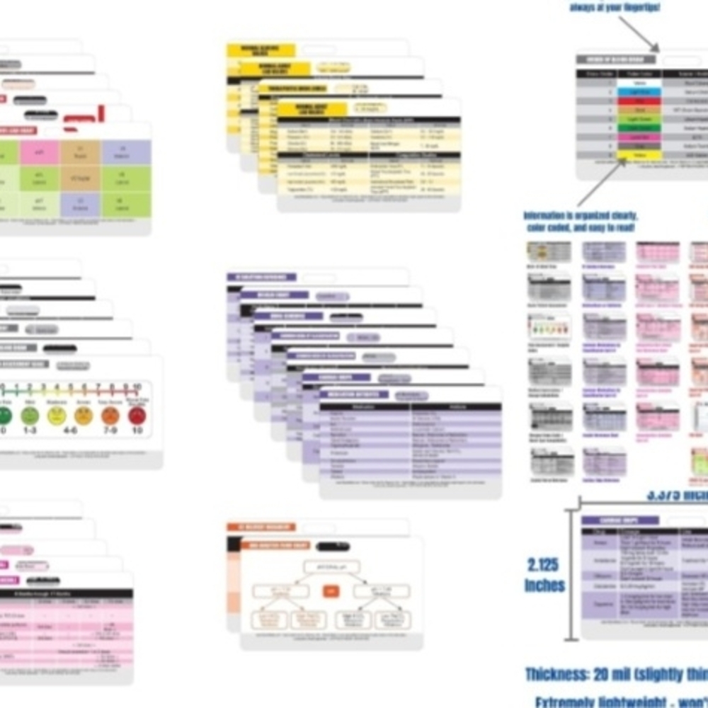 Colorful Study Guide Sheets
